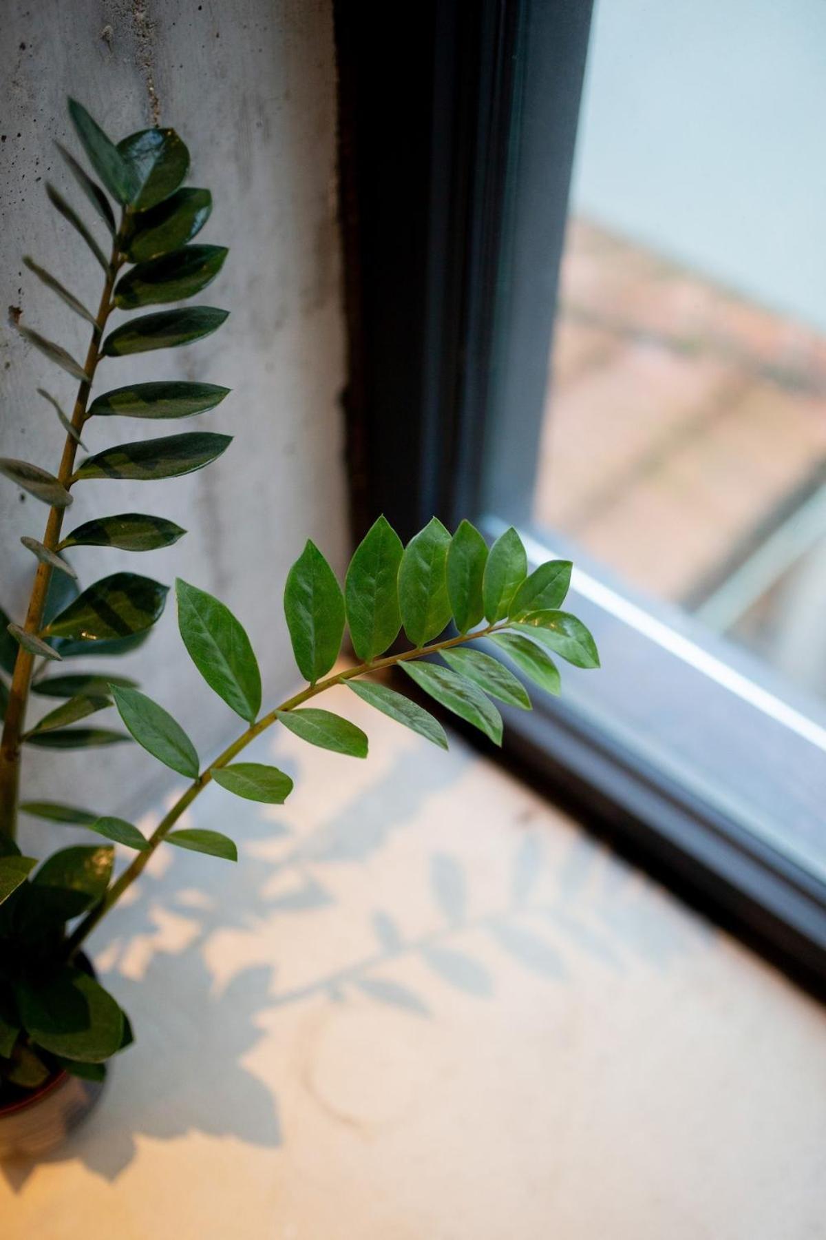 Charming Blue Apartamento *