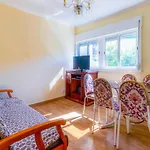 Typical Villa By Homing