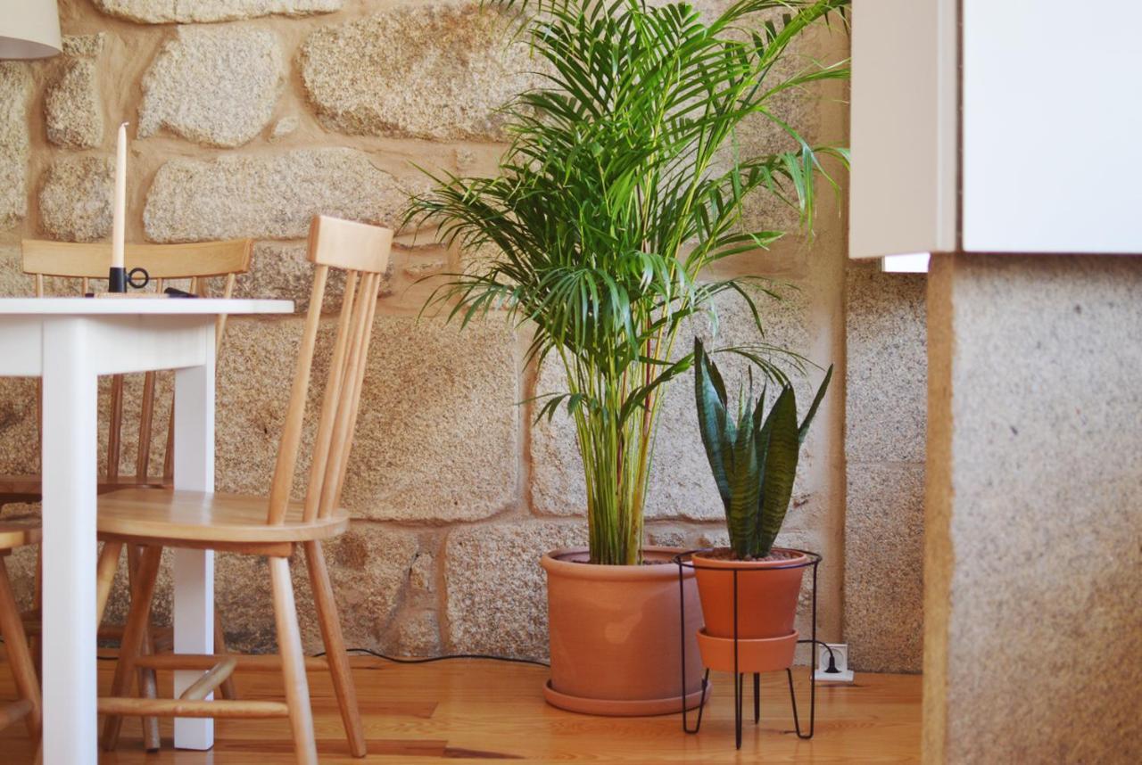 Elisa Apartamento Oporto