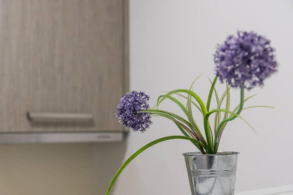 Apartment Guestready - Santa Catarina Ii