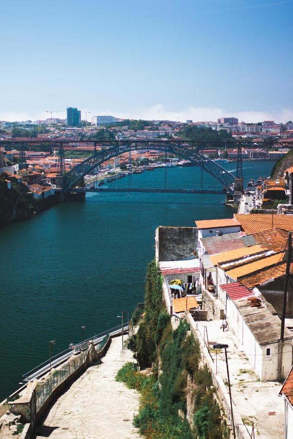Insight Campanha * Oporto