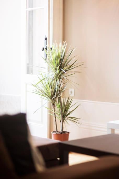 Classy Flat At Marques Square With Garden Apartamento