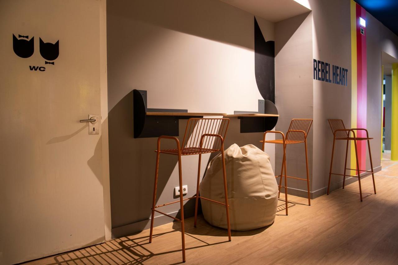 Cats Hostal