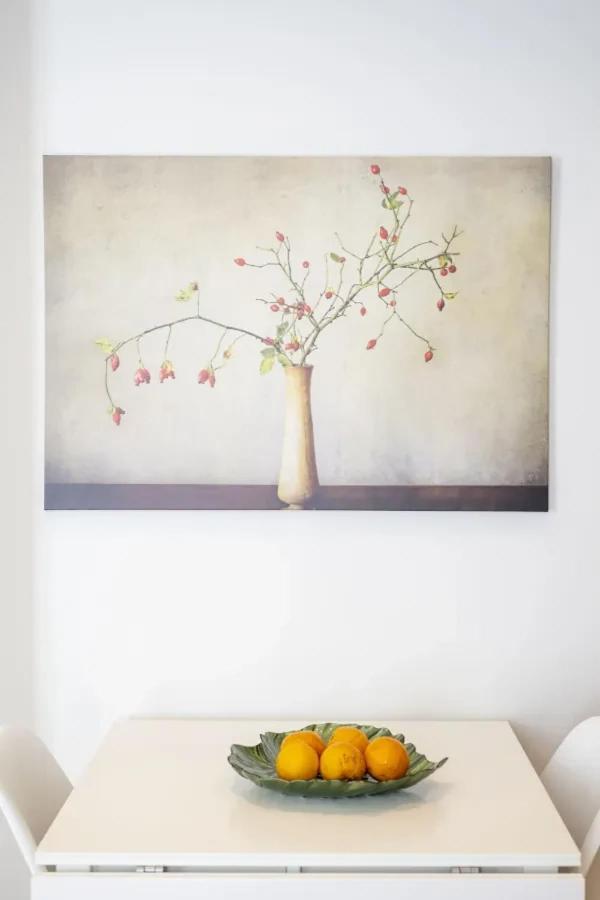 Modern Living - Santa Catarina Porto