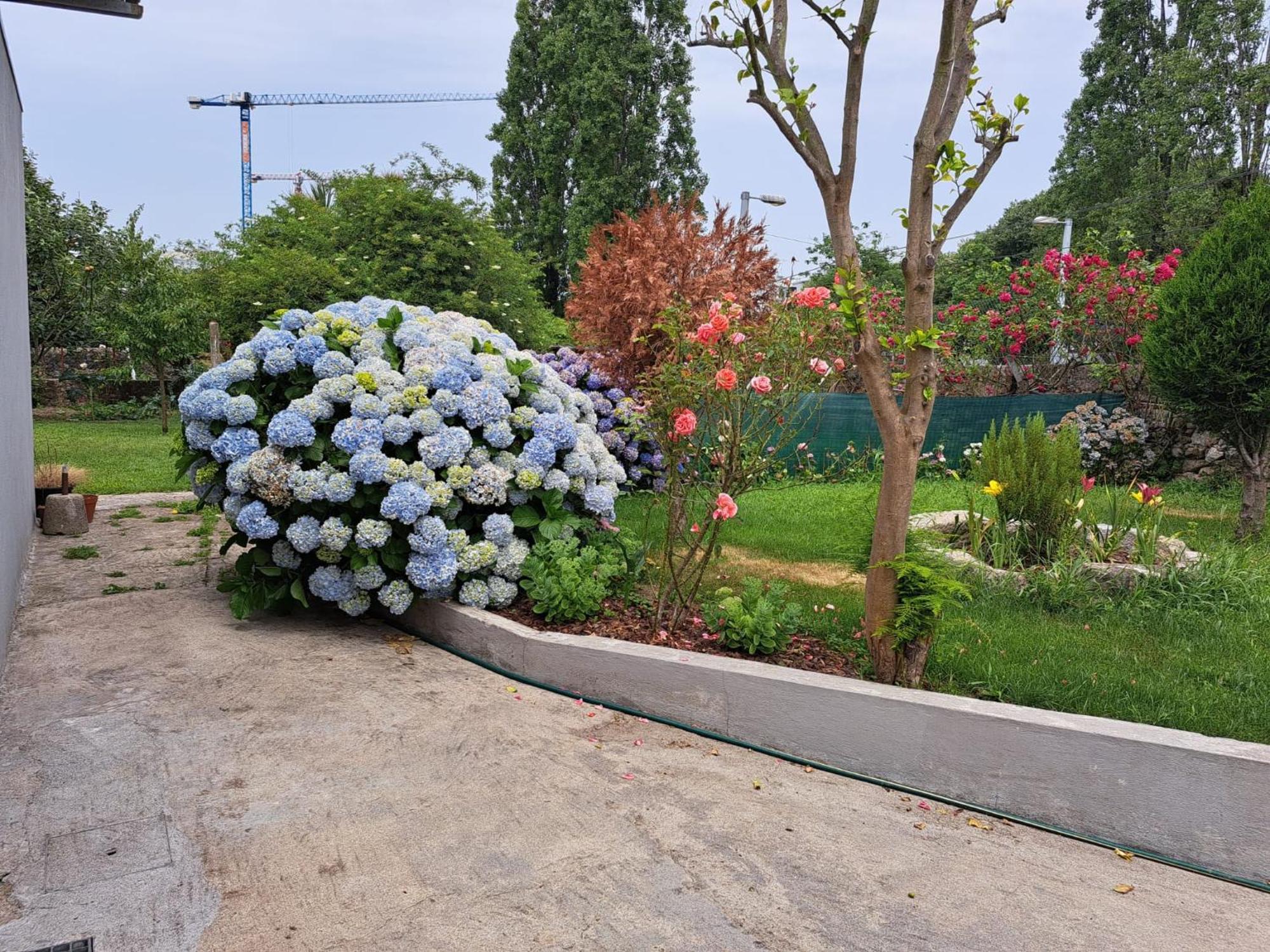 Garden House Ramalde Oporto