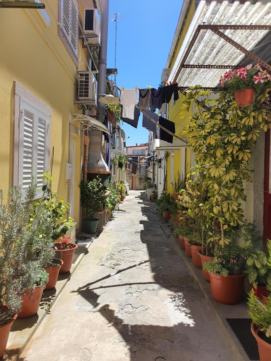 Typical House In A Historical Pedestrian Quarter * Oporto