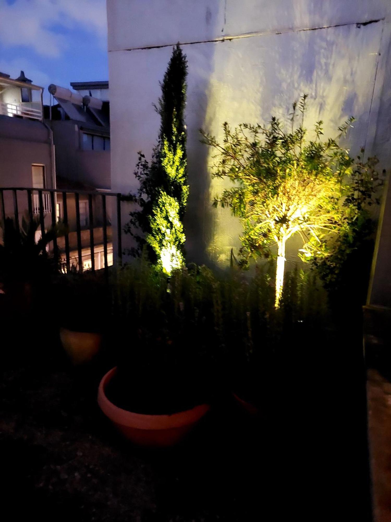 Apartamento Le Chien Noir Centre *