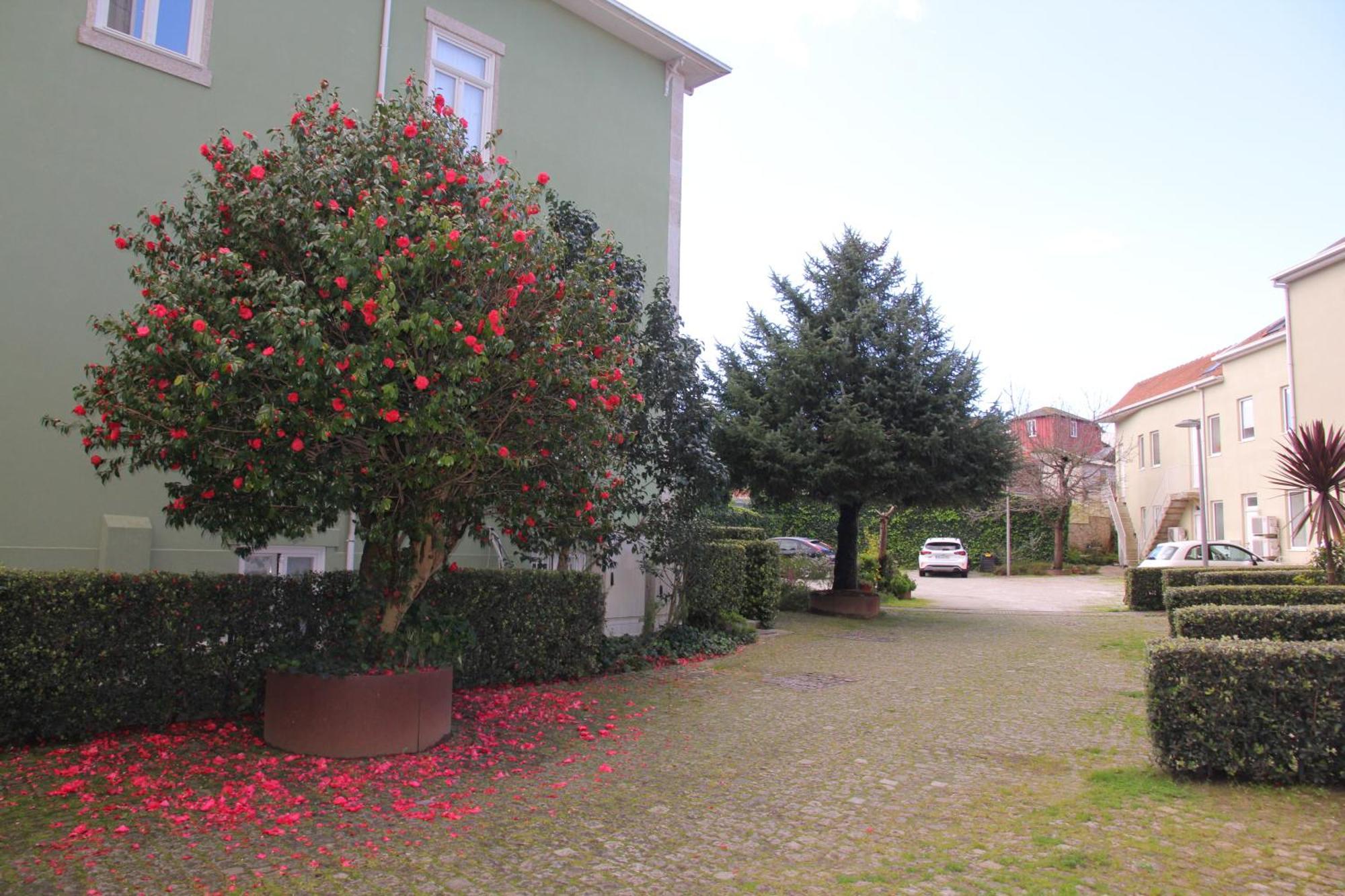 Downtown Refuge Camoes Apartamento Oporto