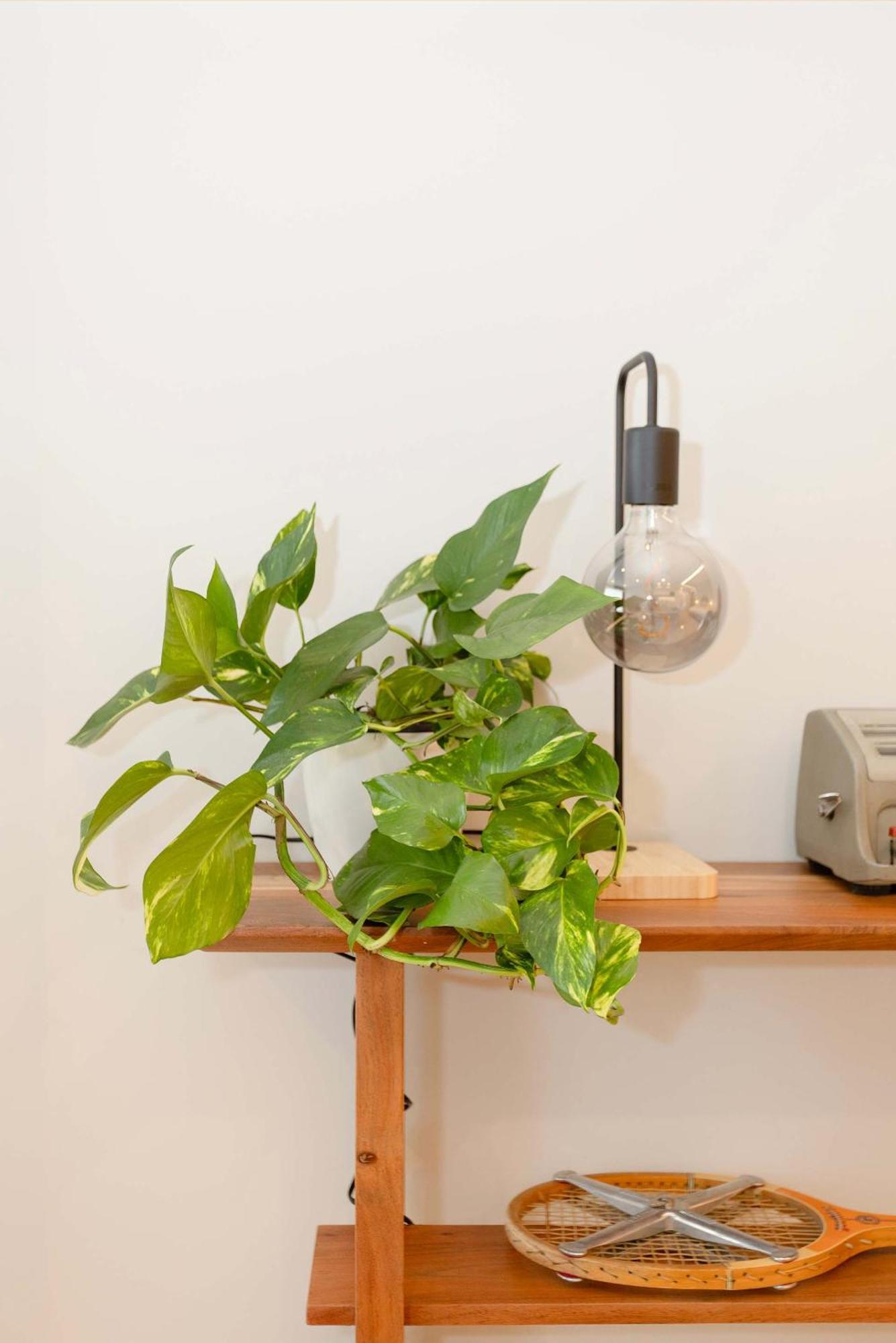 Apartamento Liiiving In - Luxury Design M Porto