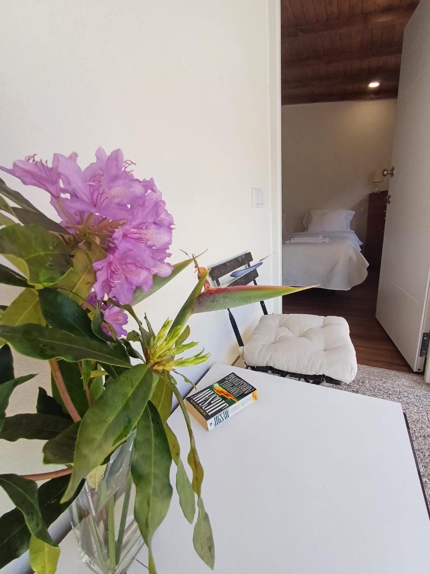 Guest house Boa Ventura Porto