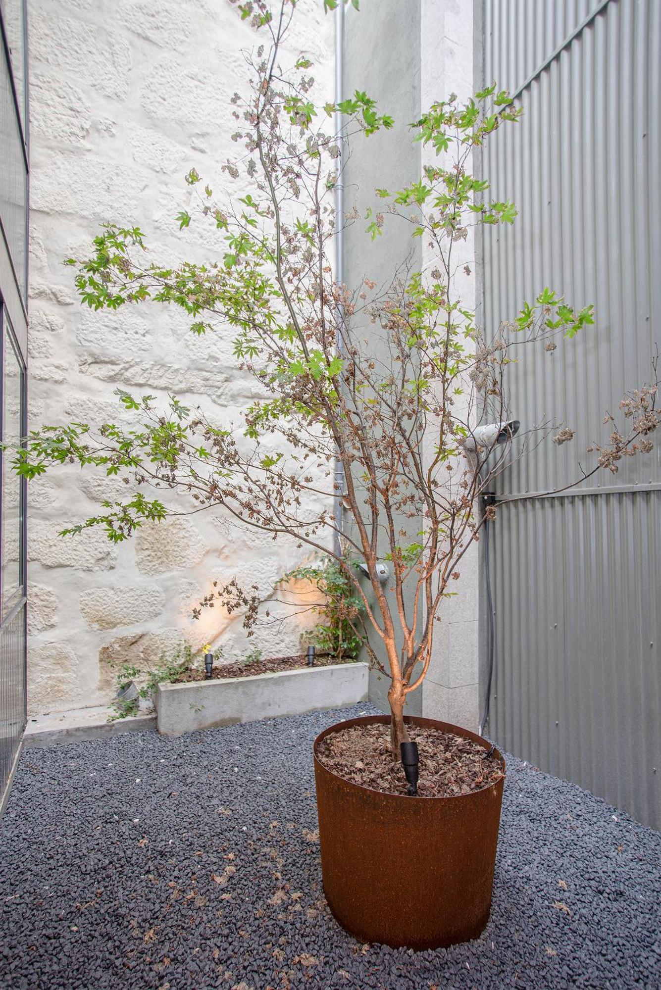Liiiving In - Bolhao Trendy Apartamento Oporto