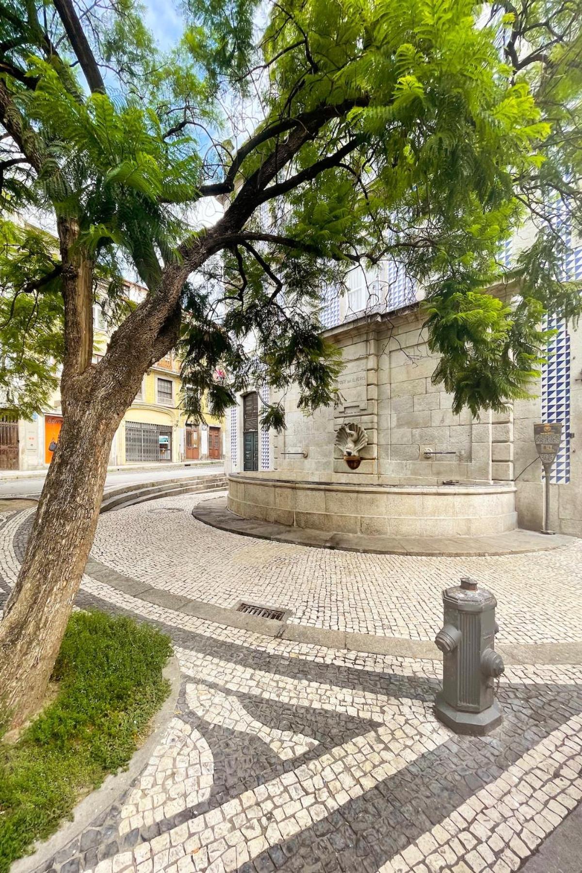 Apartamento Maripinto