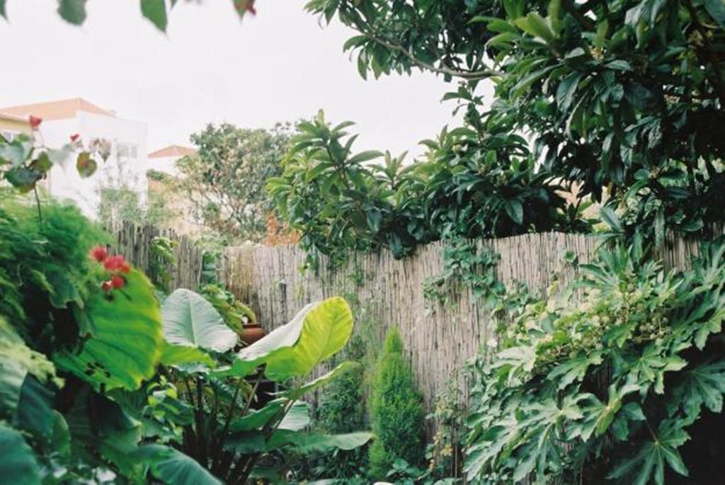 With Private Garden Apartamento *