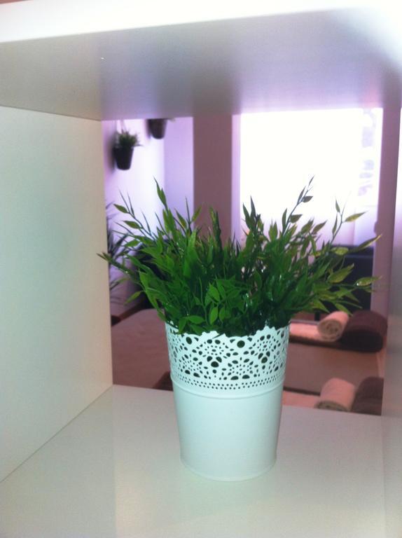 Apartment Sao Lazaro
