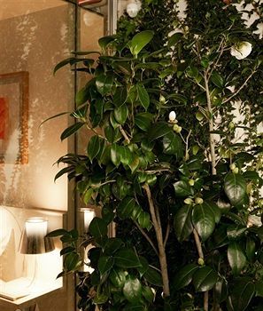 Apartamento The 4rooms Oporto