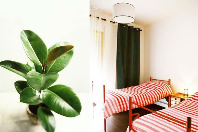 Doze Casas Apartamento *