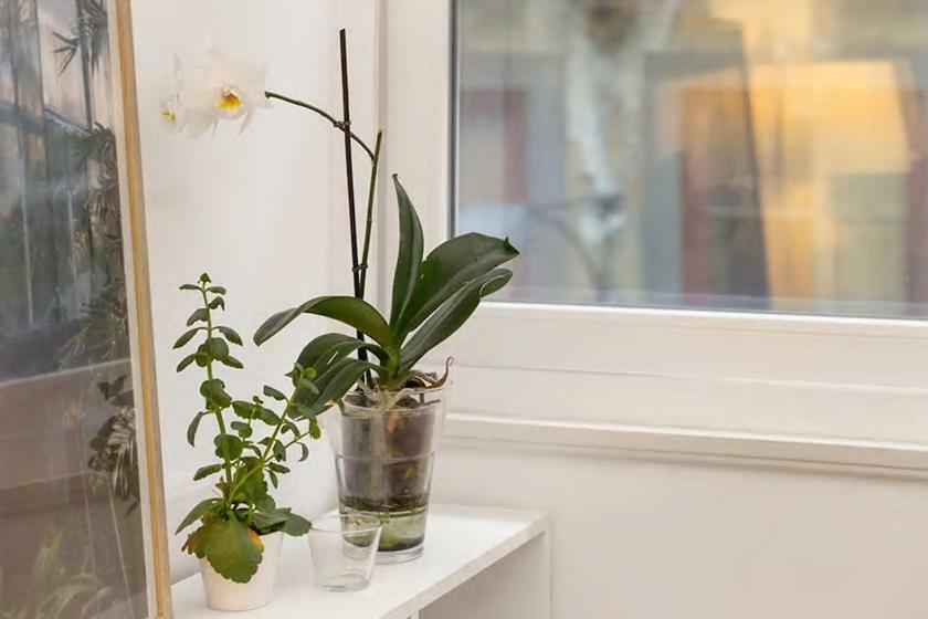Apartamento White Fabrica House