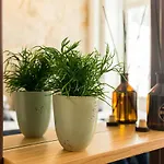 In Between Exclusive Charm Apartment By The Center