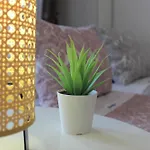Alegria Apartment 2