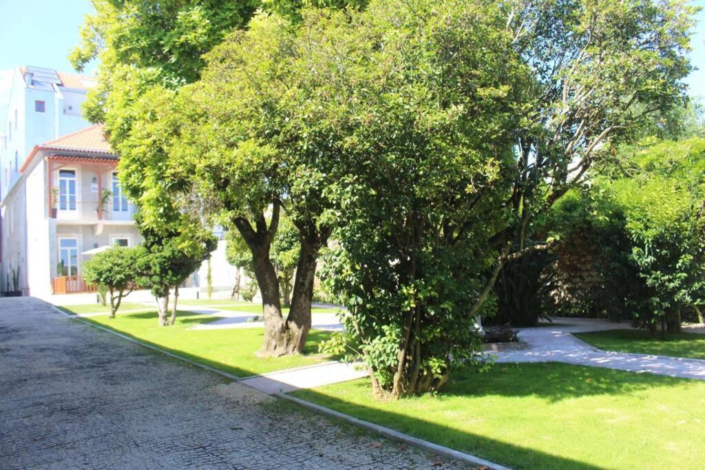 Eco Penthouse In Downtown With Rooftop & Parking * Oporto