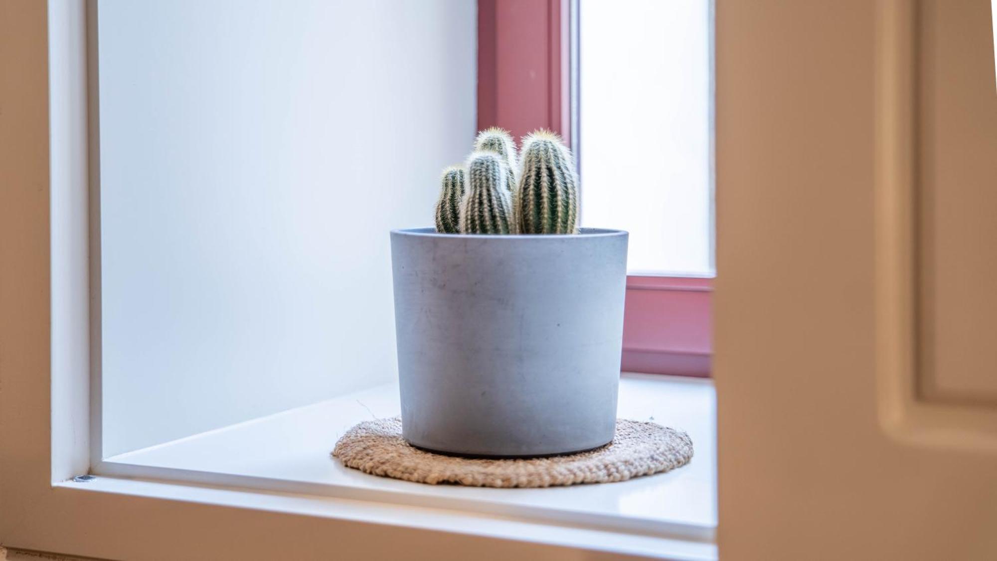 Apartamento Taipas Tranquility: Cozy T0 By Lovelystay