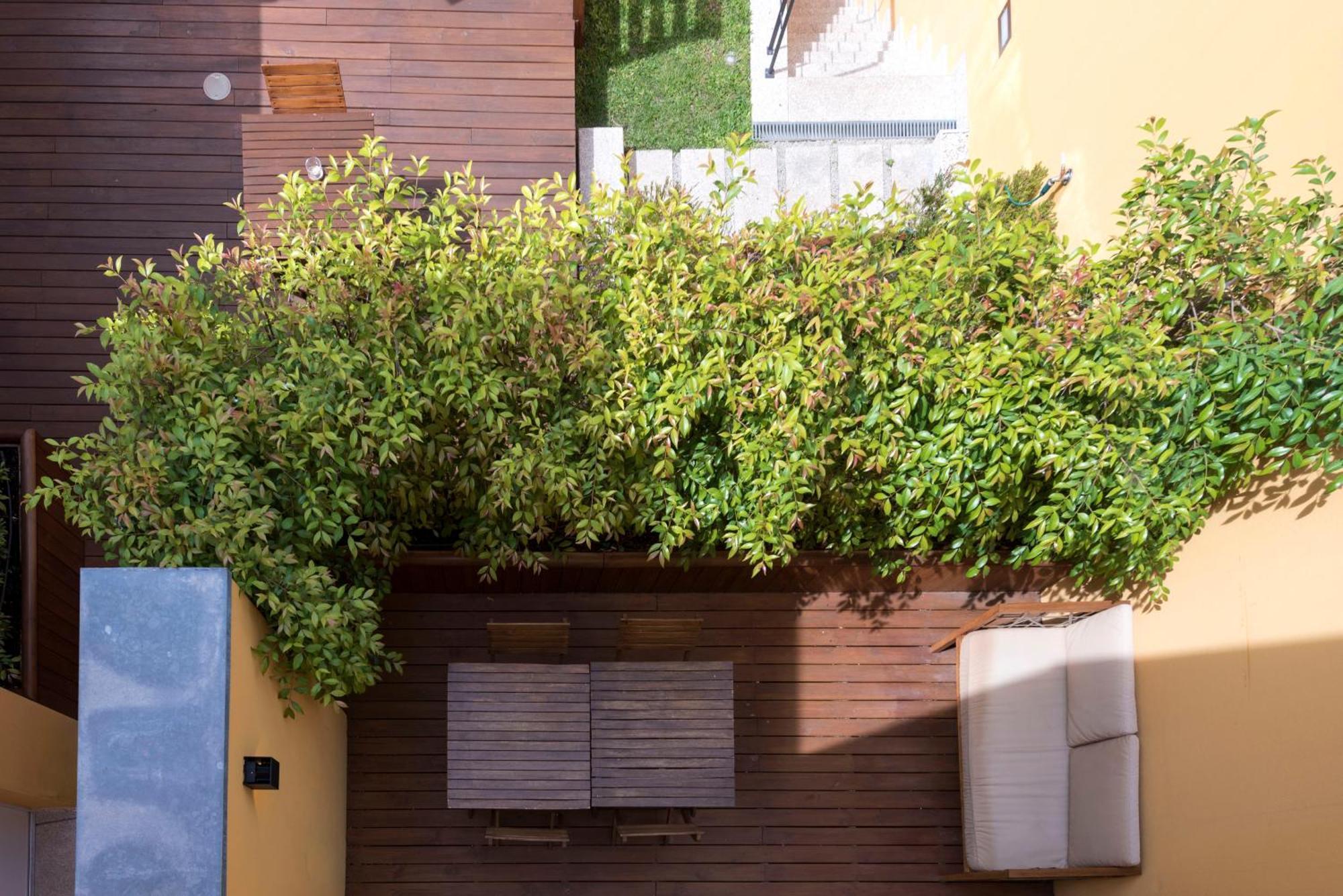 Bloom House By Sweet * Oporto