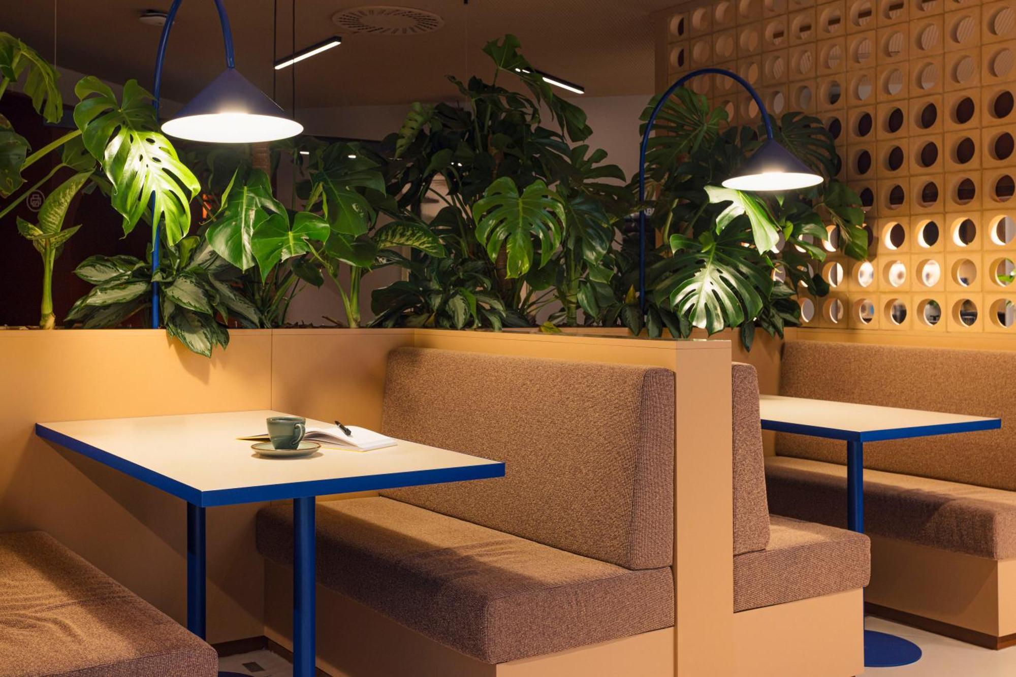 The Social Hub 4*