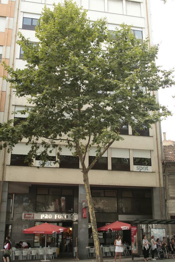 Spot Trindade Apartamento *