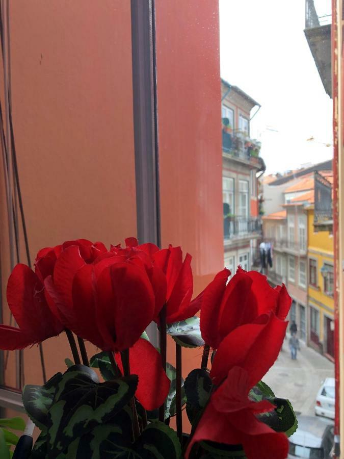 Apartamento Flor Do Apartamento Oporto