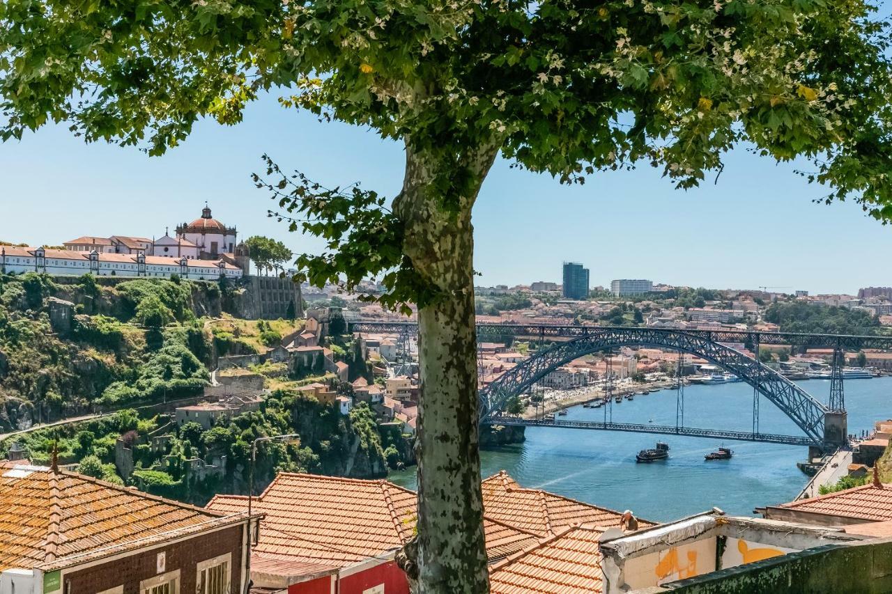 Casa de hóspedes Orange Tree House Porto