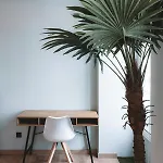Batalha Charming Loft