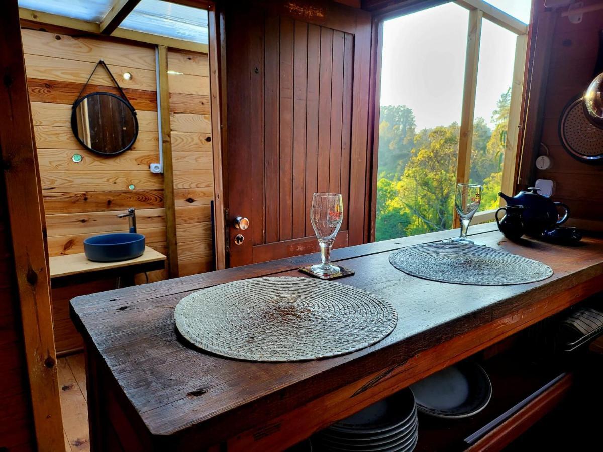 Woodhouse Near River - Near Ocean - Near Lodge Oporto
