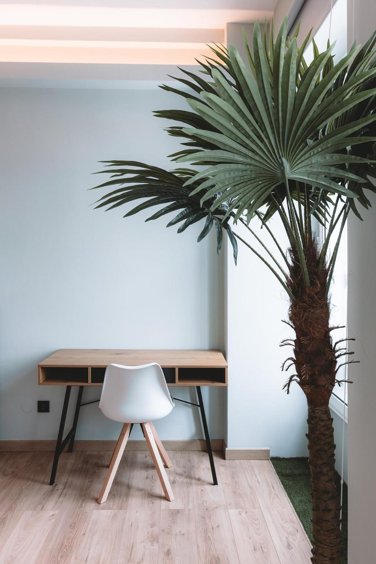 Apartamento Batalha Charming Loft *