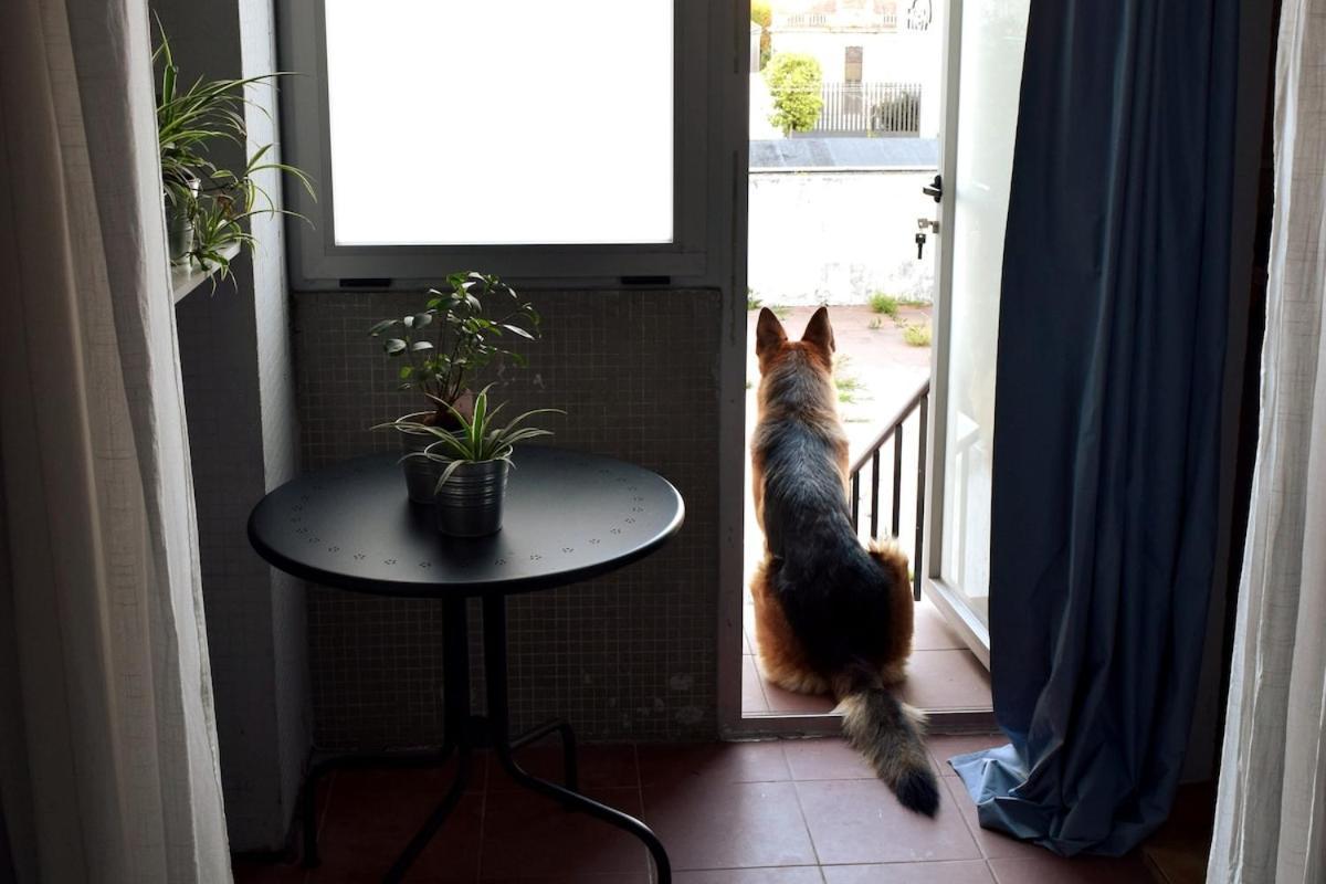 Apartamento Porto's Secret Backyard Oporto