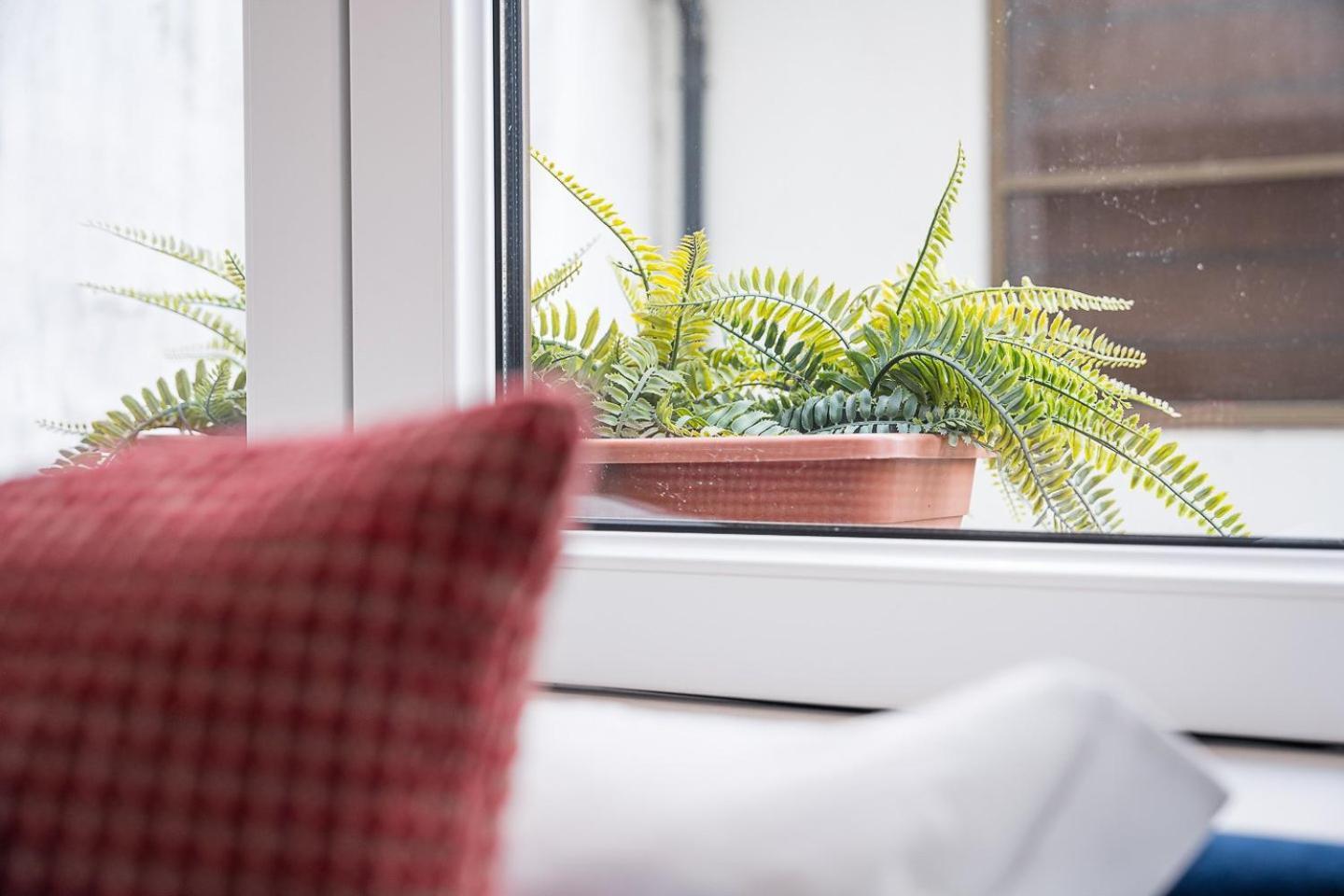 Guestready - Homely In * Porto